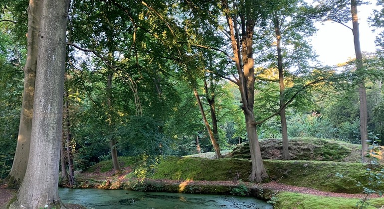 descubre-la-otra-cara-de-holanda-sobre-ruedas-en-10