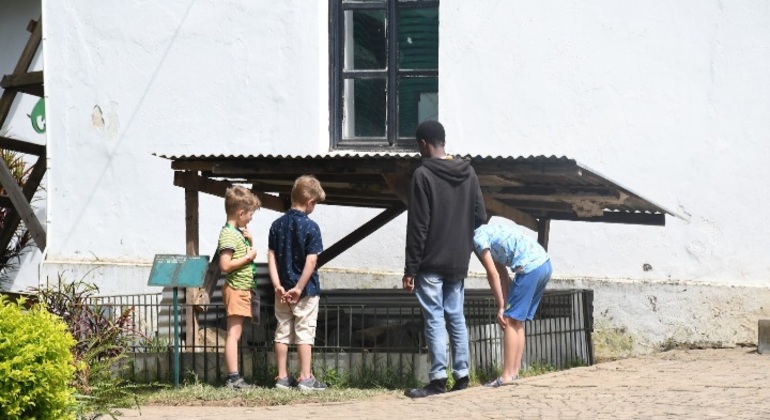 Visita a la ciudad de Arusha, mercados, cultura y experiencias maasai Tanzania — #2