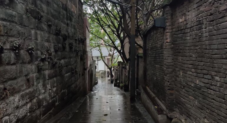 Hangabwärts Kostenlose Tour durch Chongqing China — #2