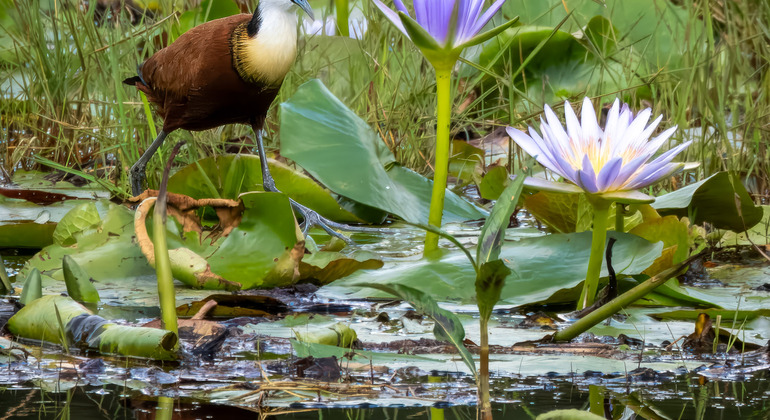 Arusha Natur & Kultur Abenteuer: "Jenseits der Stadt" Tansania &mdash; #3
