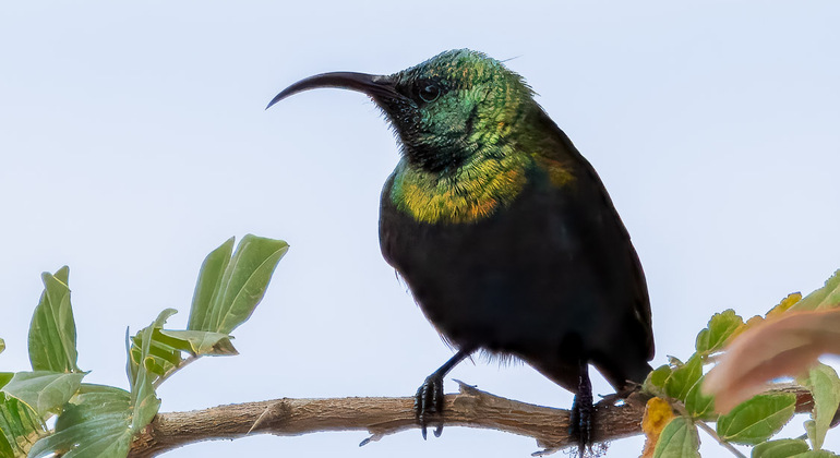 Arusha Natur & Kultur Abenteuer: "Jenseits der Stadt" Tansania &mdash; #5