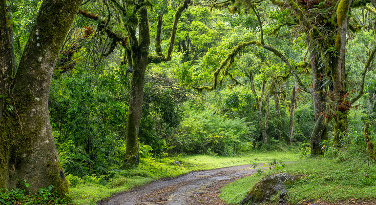 Arusha Natur & Kultur Abenteuer: "Jenseits der Stadt" Tansania &mdash; #6
