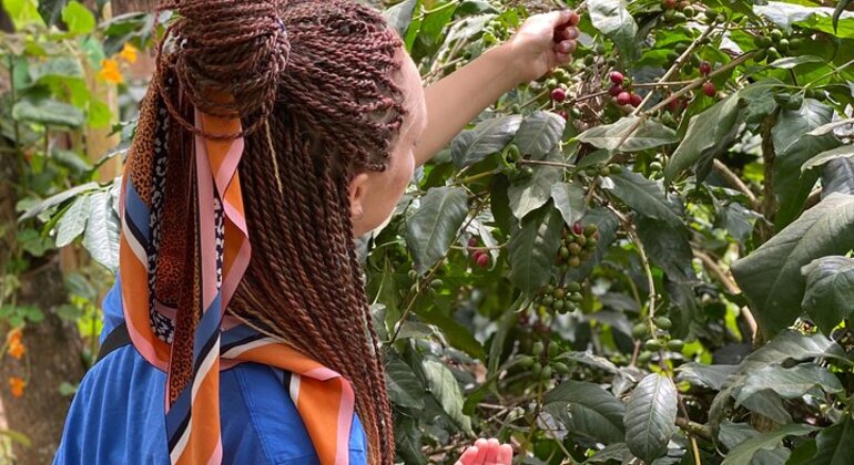 Arusha Natur & Kultur Abenteuer: "Jenseits der Stadt" Tansania &mdash; #22