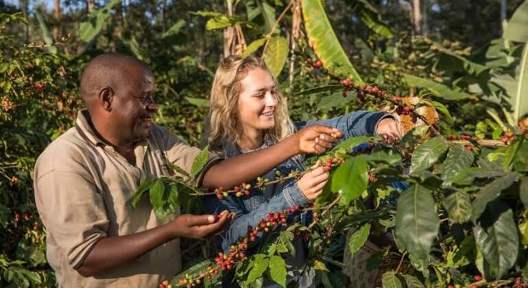 Arusha Natur & Kultur Abenteuer: "Jenseits der Stadt" Tansania &mdash; #24
