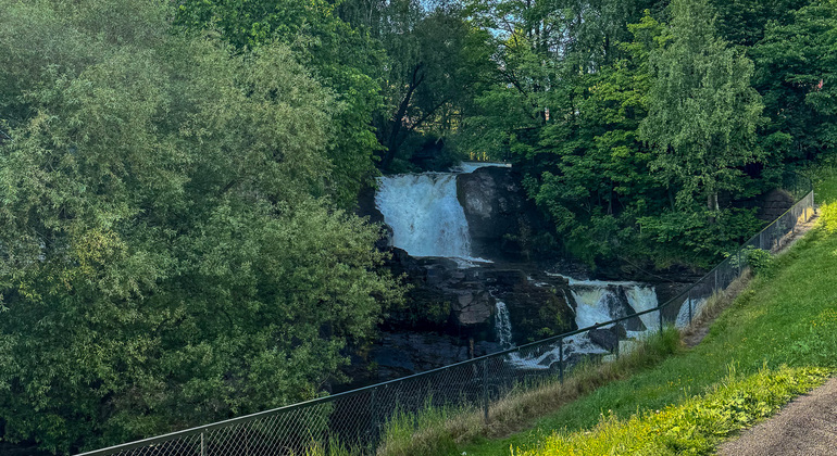 Oslo Seasonal Tour: Autumn Colors at Golden Hour Norway — #8