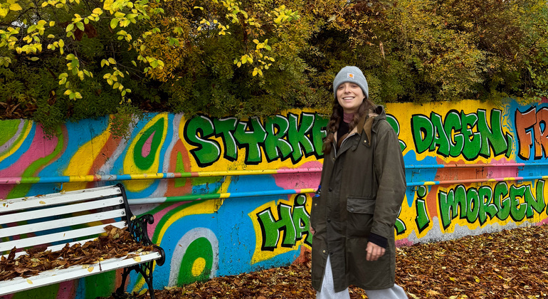 Oslo Seasonal Tour: Autumn Colors at Golden Hour Norway — #7