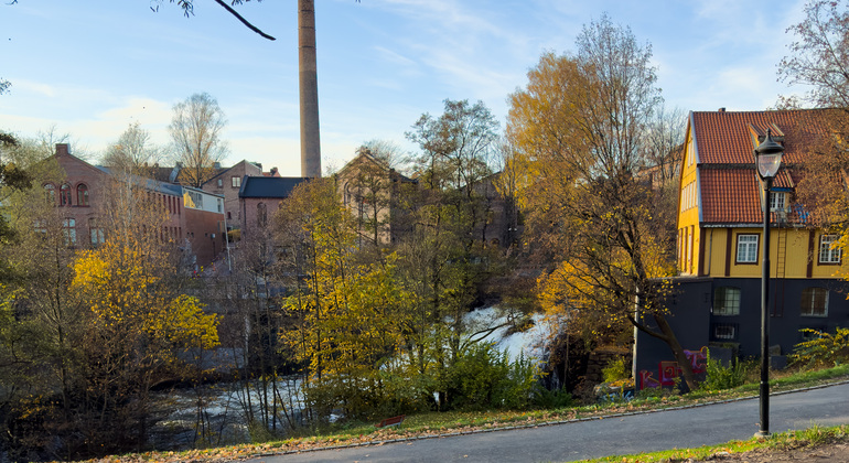 Oslo Seasonal Tour: Autumn Colors at Golden Hour Norway — #5