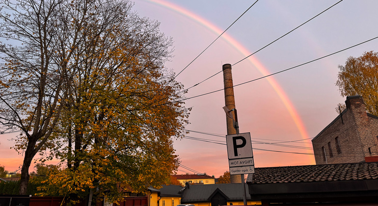 Oslo Seasonal Tour: Autumn Colors at Golden Hour Norway — #3