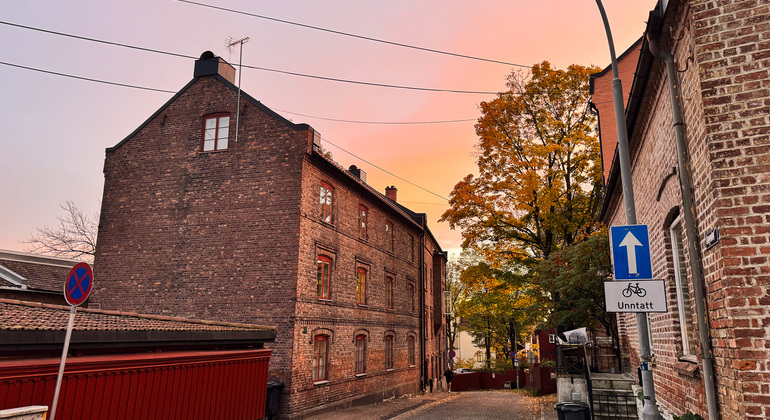 Oslo Seasonal Tour: Autumn Colors at Golden Hour Norway — #4