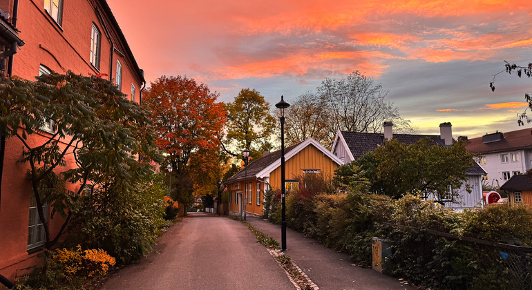 Oslo Seasonal Tour: Autumn Colors at Golden Hour Norway — #1
