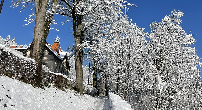 Esplorare Lubiana e i suoi segreti Slovenia — #12