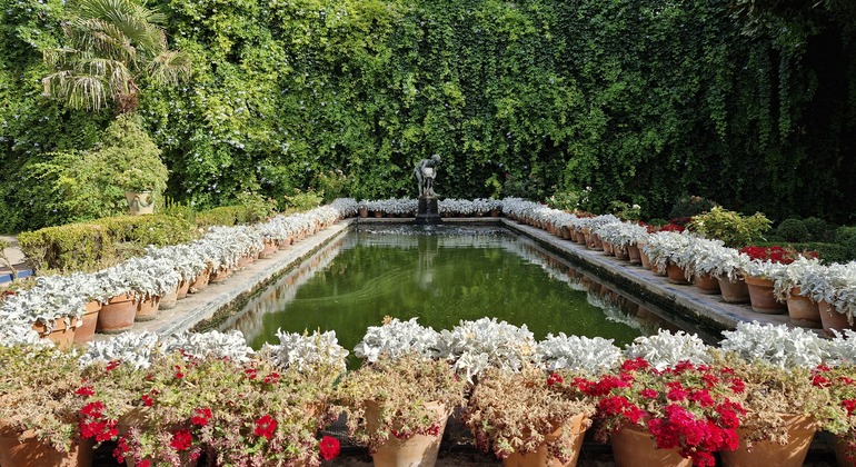 Tour de Sevilla entre Palacios: El Legado de una Mujer. España &mdash; #6