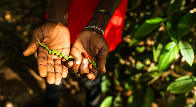 Zanzibar: Gita di un giorno a Stone Town, Tour delle spezie, Isola della prigione Tanzania &mdash; #3