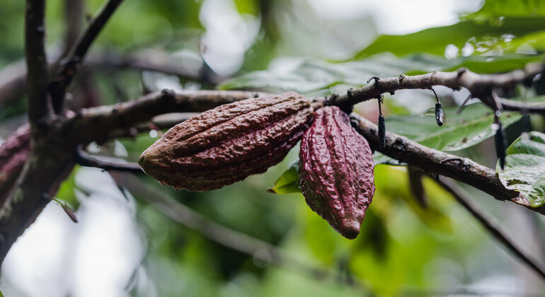Zanzibar: Gita di un giorno a Stone Town, Tour delle spezie, Isola della prigione Tanzania &mdash; #6