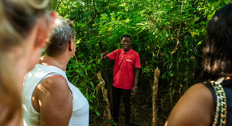 Zanzibar: Gita di un giorno a Stone Town, Tour delle spezie, Isola della prigione Tanzania &mdash; #8