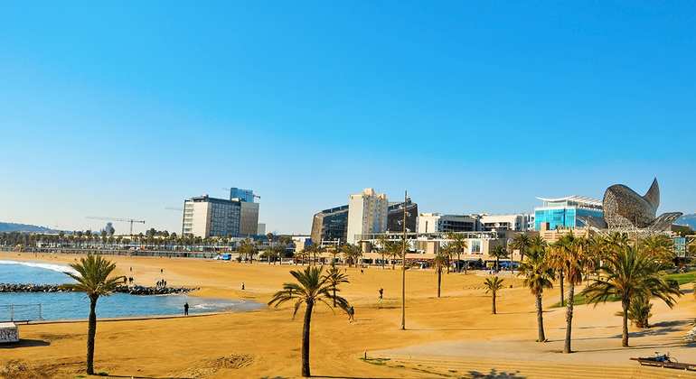 L'originale tour gratuito di Barcellona Spagna &mdash; #11