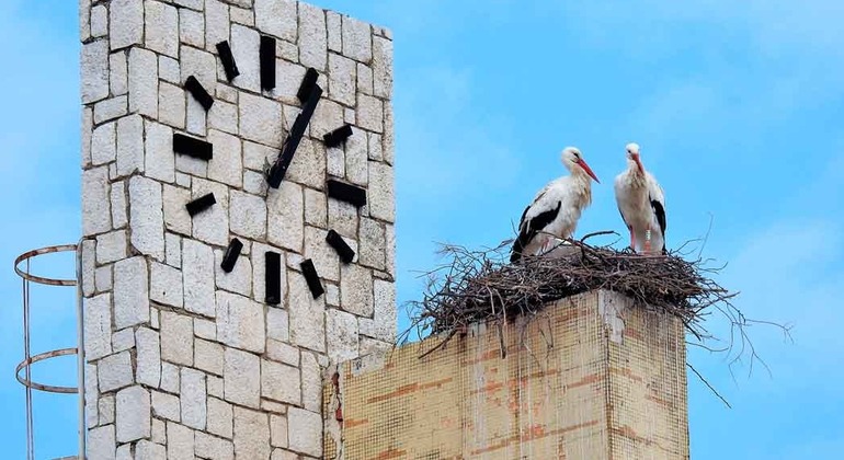 alcala-de-henares-de-complutum-a-la-unesco-en-4