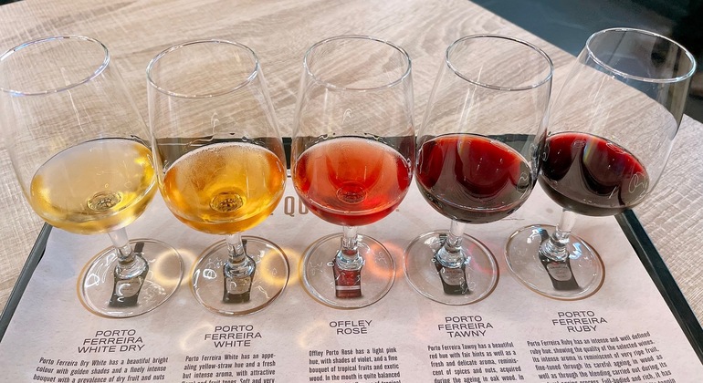 The Soul of Gaia : Port Wine Heritage (Optional Port Wine Tasting) Portugal &mdash; #13