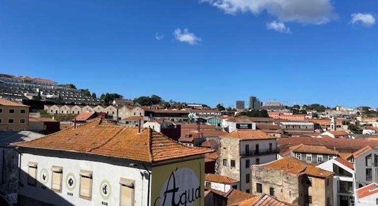 Visita gratuita: El alma del patrimonio del vino de Oporto de Gaia  Portugal — #5