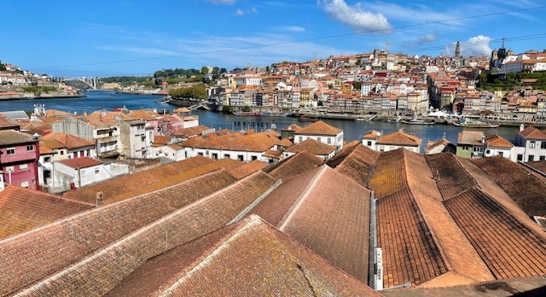 Visita gratuita: El alma del patrimonio del vino de Oporto de Gaia  Portugal — #6