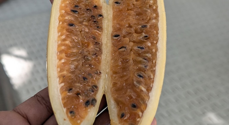 Street Food Tou: The Taste of Heroic Cartagena Colombia — #2