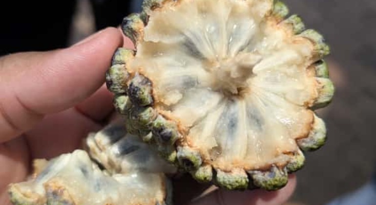 Street Food Tou: The Taste of Heroic Cartagena Colombia — #9