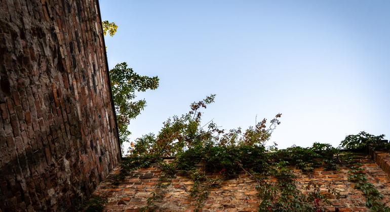 Voices Behind the Walls: Warsaw Ghetto Free Walking Tour Provided by Robert's Walking Tours