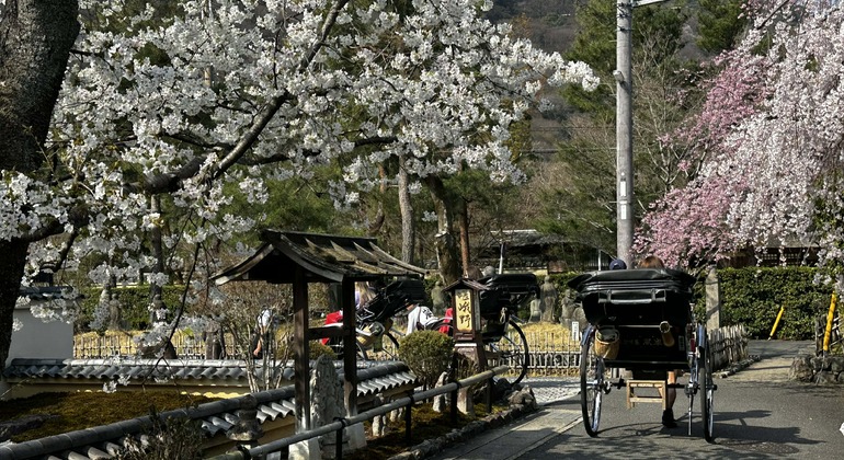Arashiyama Free Tour en Kioto: Bosque de bambú, joyas ocultas y monos Japón &mdash; #9