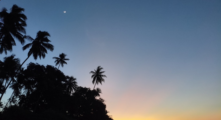 Visite gratuite de Nungwi et Kendwa :  Tout ce que vous pouvez savoir, Tanzania