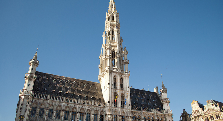 L'originale tour gratuito di Bruxelles Belgio &mdash; #4