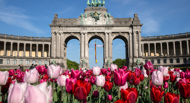 L'originale tour gratuito di Bruxelles Belgio &mdash; #10