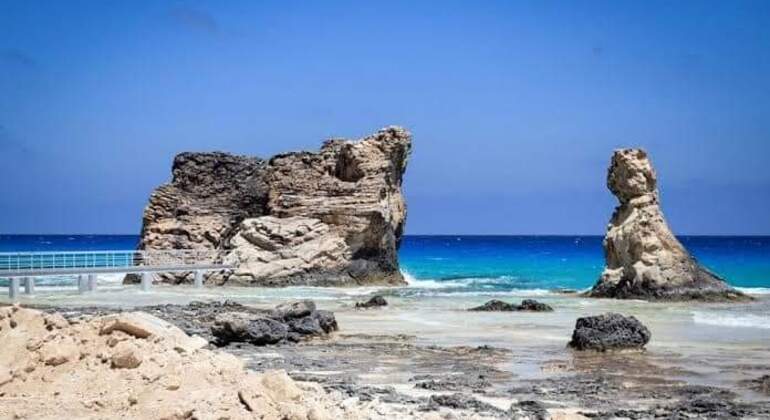 Black and White Desert Tour in Bahariya Oasis Egypt &mdash; #7