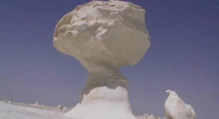 Black and White Desert Tour in Bahariya Oasis Egypt &mdash; #8