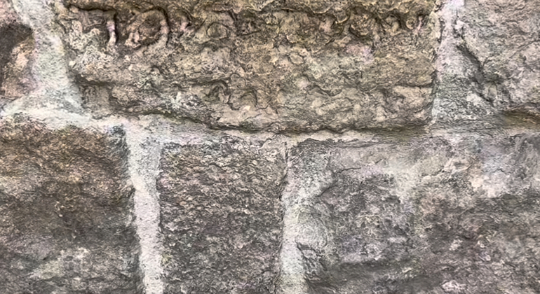 Shadowy Barcelona Free Tour: Crimes and Mysteries Spain &mdash; #9