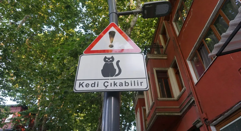 Bosphorus Crossing: Asian Side Highlights Turkey &mdash; #3