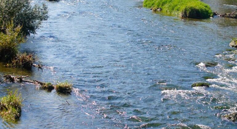 Zürich Weihnachtsmarkt Food Tour: Die fünf besten Cafés Schweiz — #2