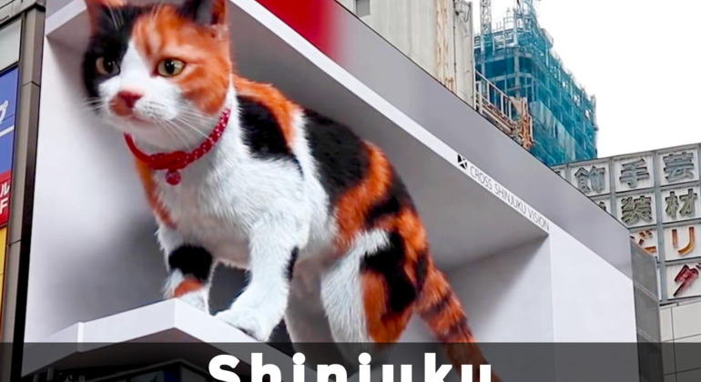 Shinjuku Free Tour in Tokio: Das dunkle Viertel Japan — #3