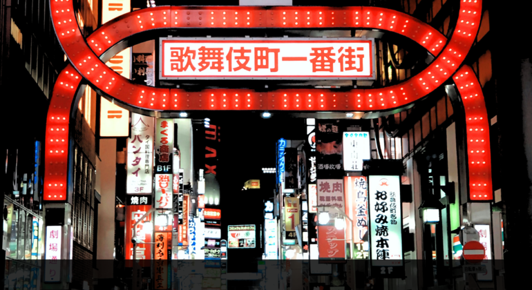 Shinjuku Free Tour in Tokio: Das dunkle Viertel Japan — #5