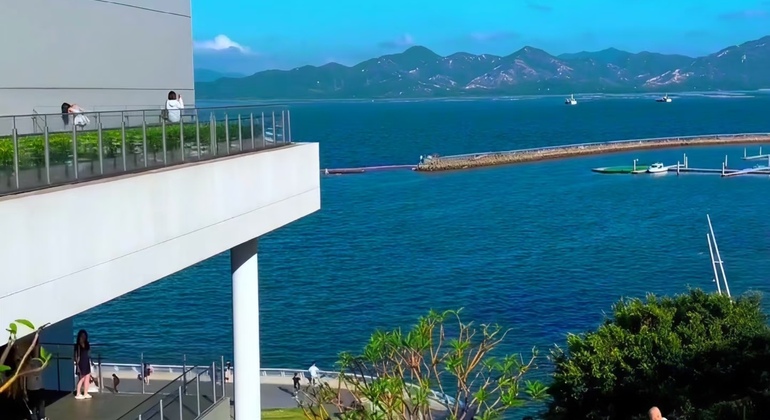 Half-Day Free Tour In Shenzhen: Where Tradition Meets Modernity