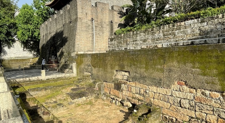 Half-Day Free Tour In Shenzhen: Where Tradition Meets Modernity China &mdash; #5