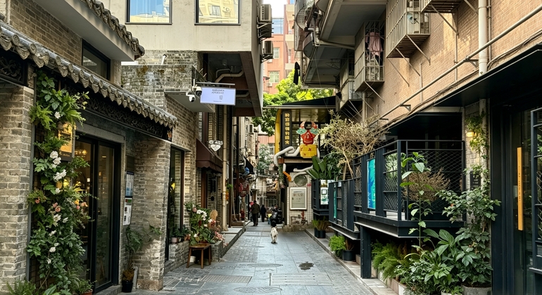 day-tour-in-shenzhenwhere-tradition-meets-modernity-en-13