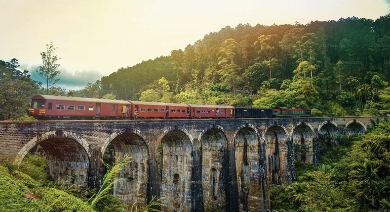 Excursión en Tuktuk a la fábrica de té y cascadas de Nuwara Eliya