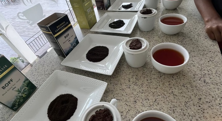 tuktuk-nuwaraeliya-teafactory-waterfalls-tour-es-1