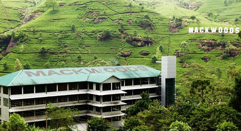 tuktuk-nuwaraeliya-teafactory-waterfalls-tour-es-4