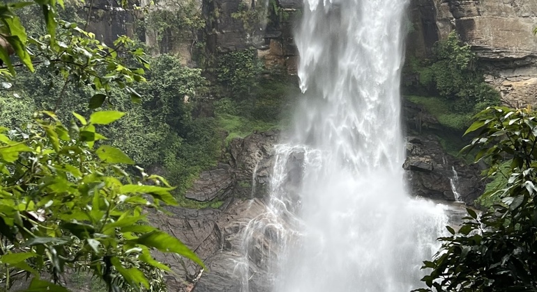 tuktuk-nuwaraeliya-teafactory-waterfalls-tour-es-9