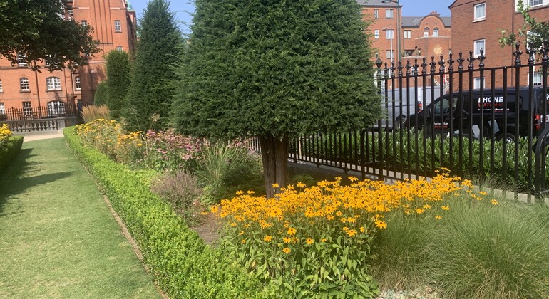 Die Geheimnisse der Altstadt: Kostenlose Tour Irland — #5