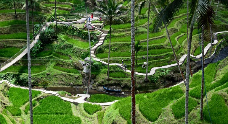 Ubud Fullday Tour Indonesia &mdash; #2