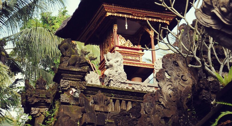 Ubud Fullday Tour Indonesia &mdash; #3