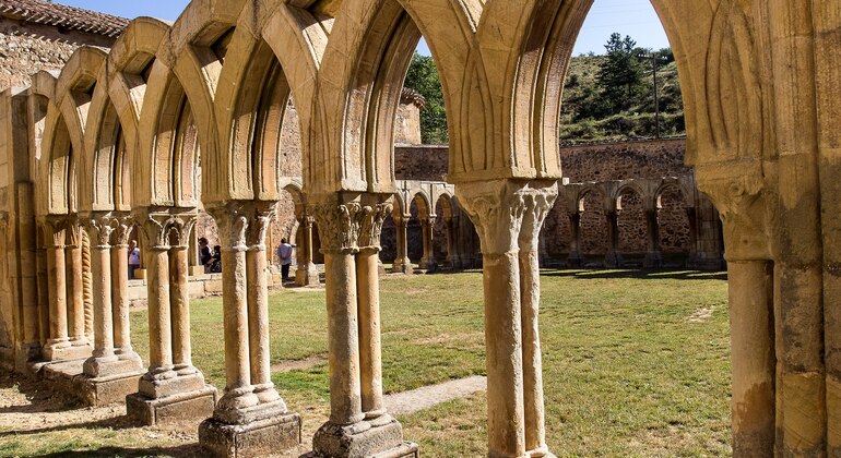 Free Tour through the Ribera del Duero in Soria, Spain