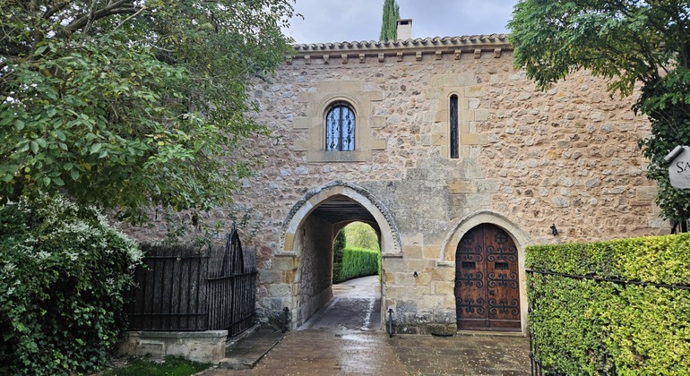 free-tour-of-the-ribera-del-duero-en-soria-es-1